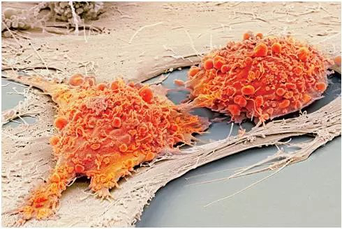 1531997508756956rUcP.png 117.png