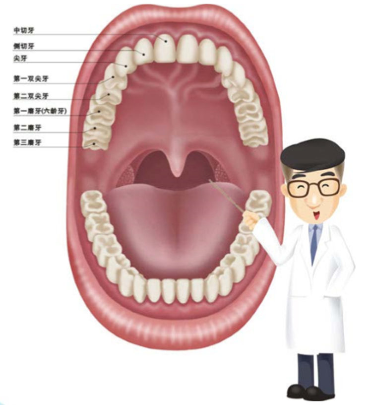 15319979225889024y9Z.png 3.png