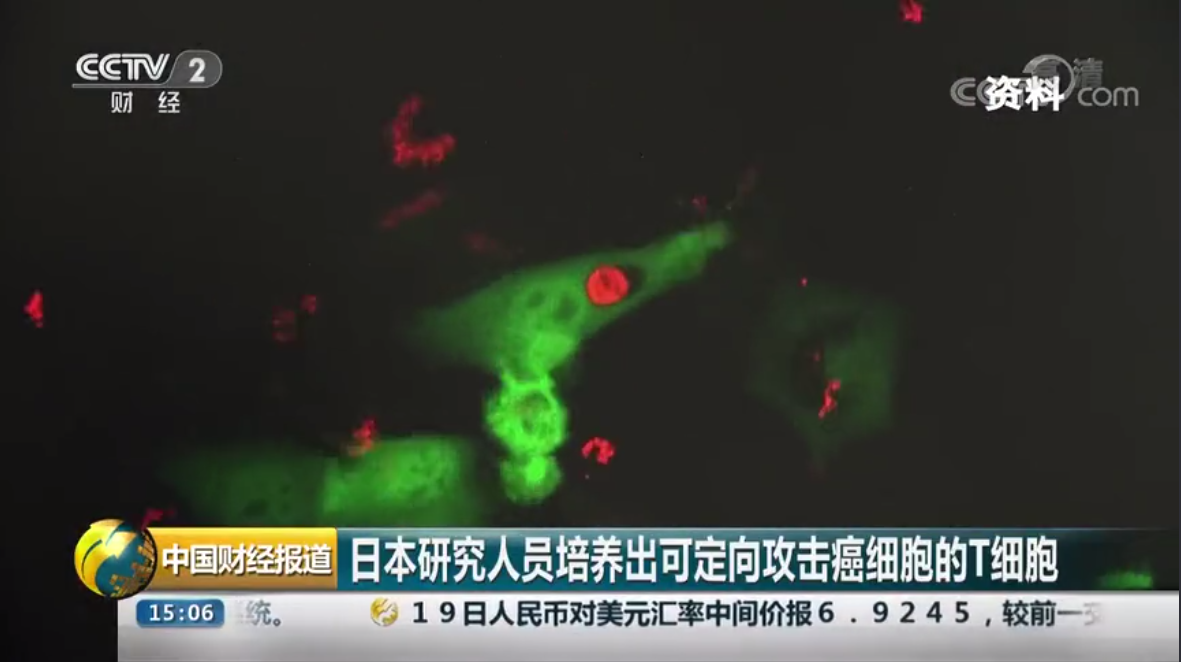 15457009071676254w2H.png 微信截圖_20181220112010.png